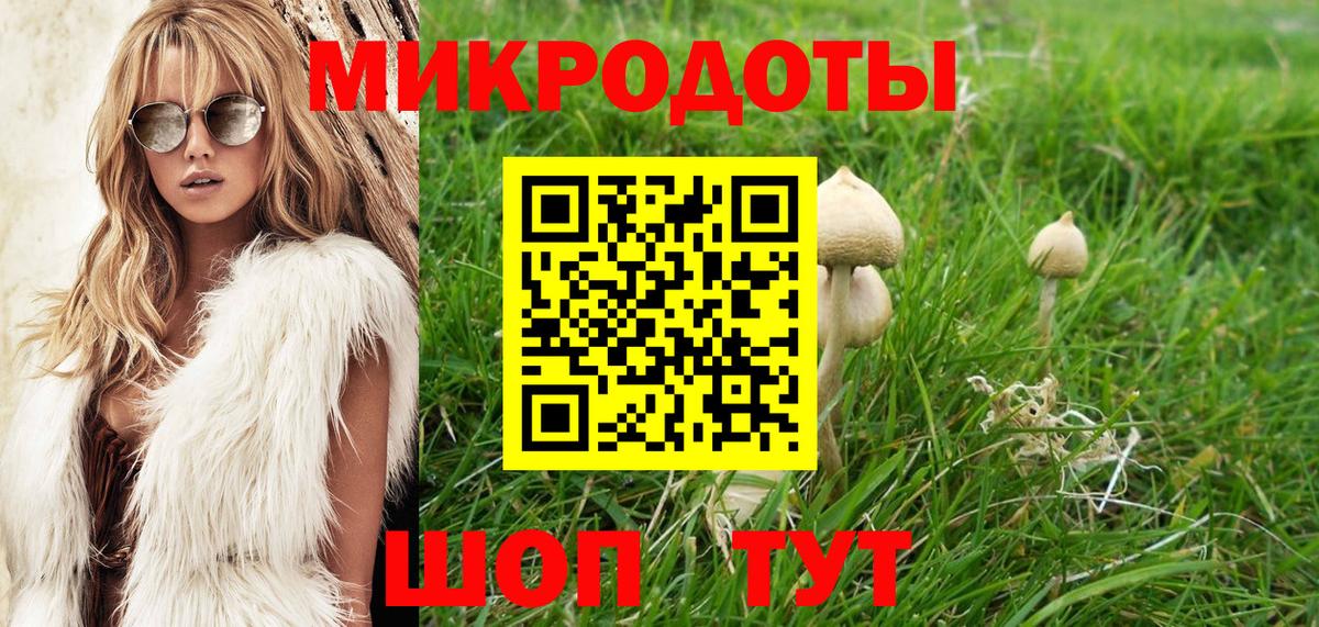 Псилоцибиновые грибы мухоморы  Вход с VPN  Псилоцибиновые грибы прущие грибы  Верхняя Пышма 